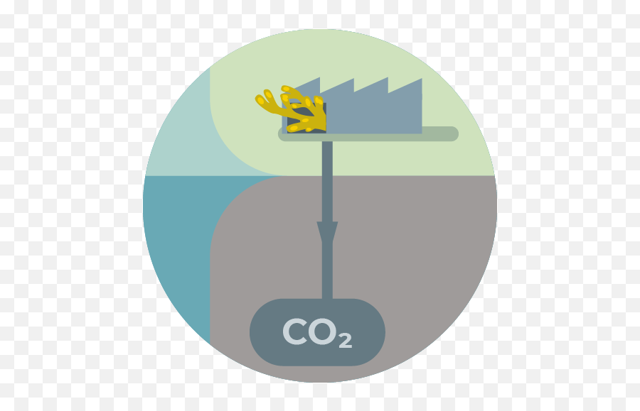 What Are Negative Emission Technologies Nets U2013 Oceannets - Vertical Png,Biomass Icon