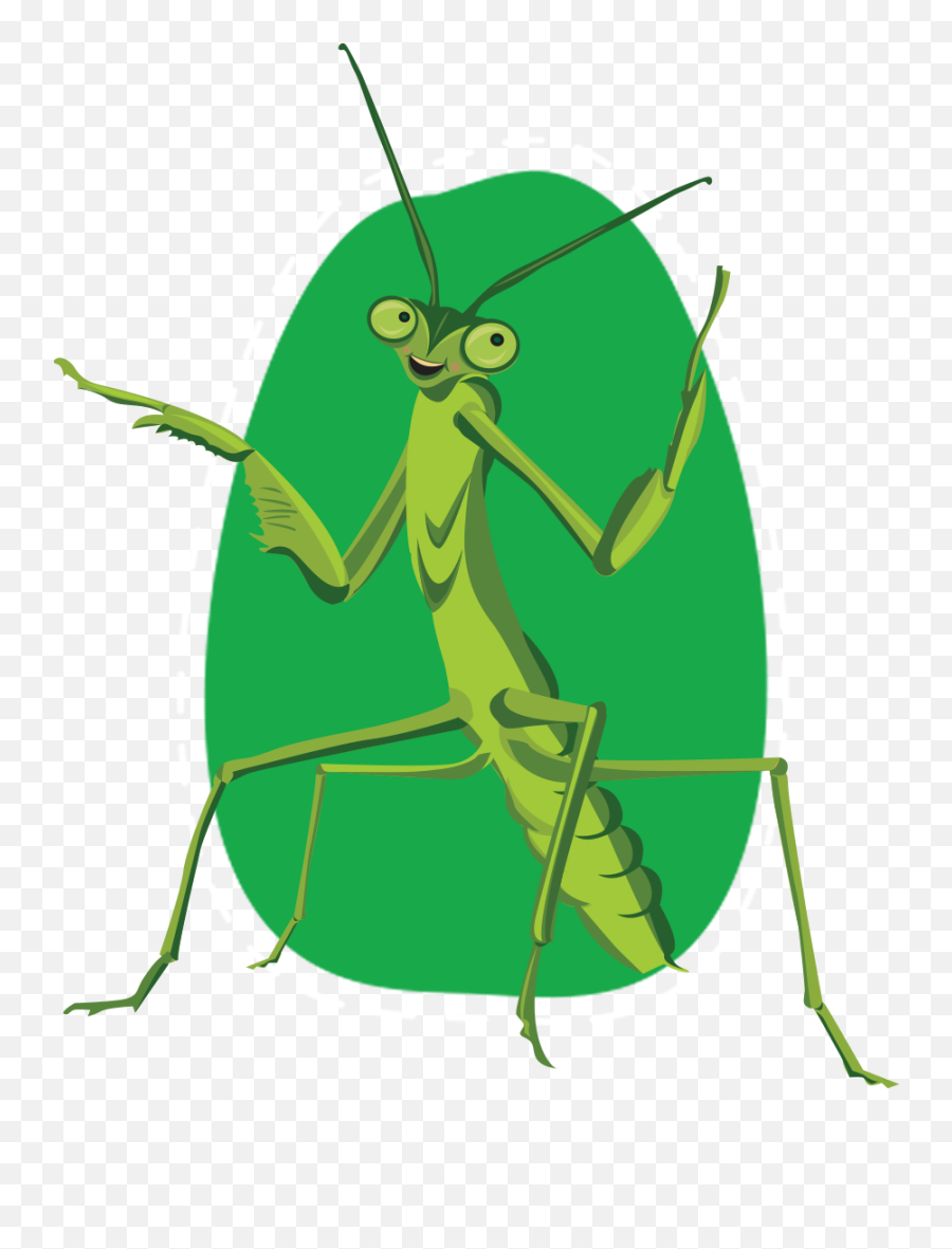 Harry The Chinese Praying Mantis U2014 Harryu0027s Big Adventure Png Icon