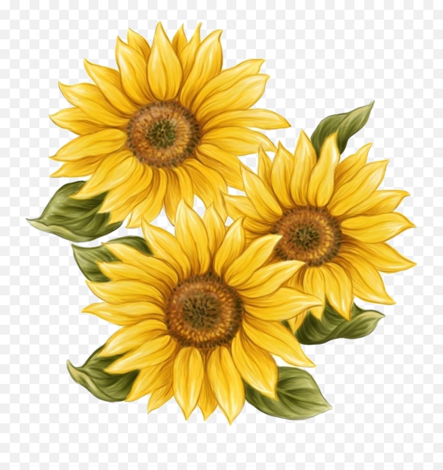 Png Paint Transparent Background - Clear Background Sunflower Png Free,Transparent Sunflower