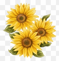 Png Paint Transparent Background - Clear Sunflower Free