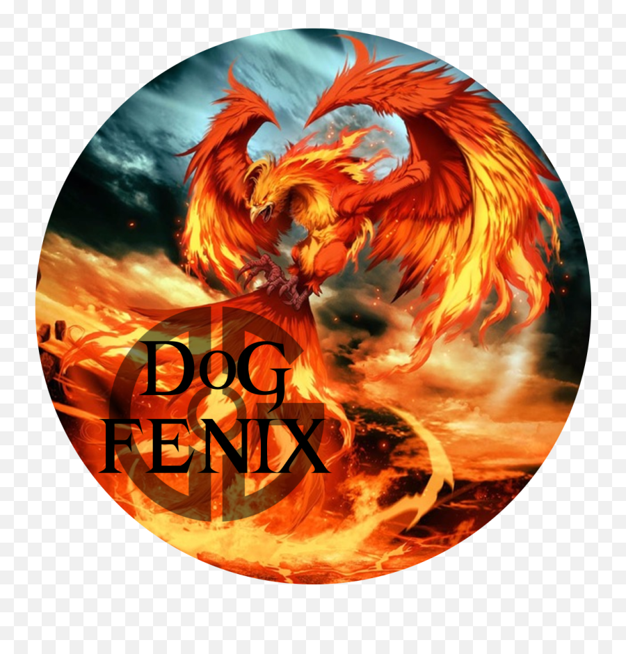 Dog Fenix Showcase - Dog Showcase Disciples Of Gaming Phoenix Rising Png,Fenix Png