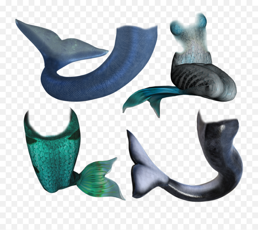 Mermaid Merman Fish - Free Image On Pixabay Water Whale Mermaid Girl Merboy Png,Mermaid Tail Png