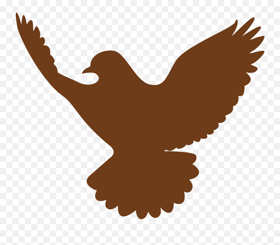 Golden Eagle Transparent Png - Portable Network Graphics,Golden Eagle Png