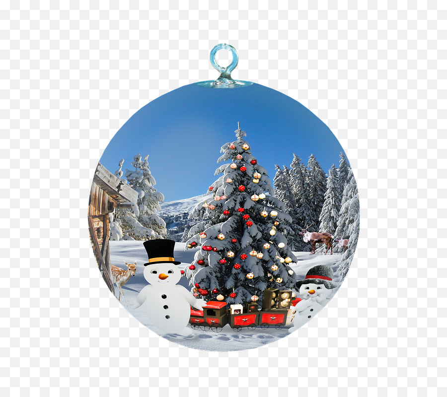 Free Photos Christmas Tree Isolated Search Download - Beautiful Christmas Images Hd Png,Christmas Tree Transparent