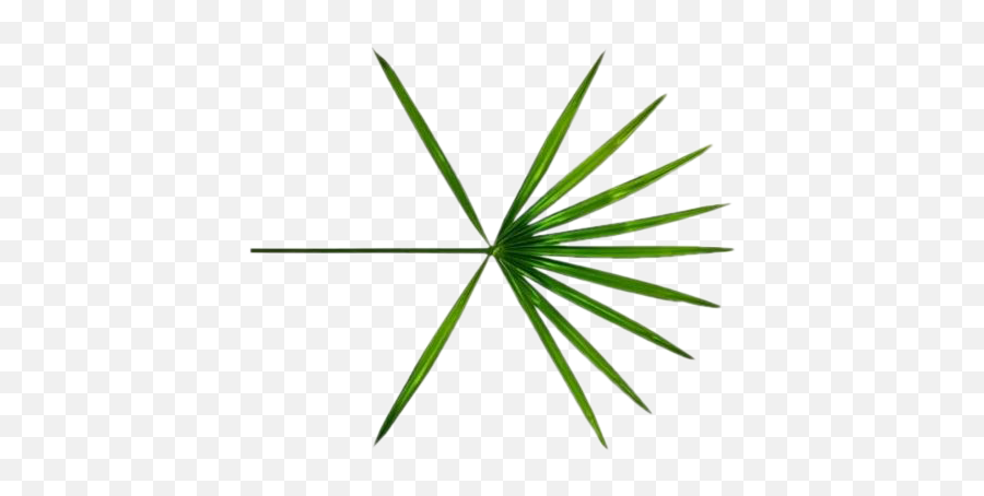 Exo The War Ko Bop Logo Png - Exo The War Logo,Ko Png