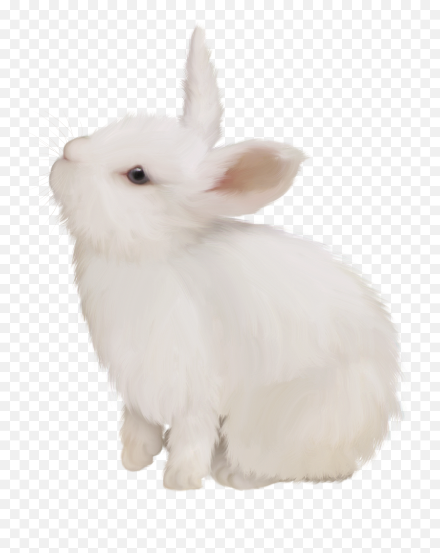 Easter Bunny European Rabbit - White Rabbit Png Transparent,White Bunny Png