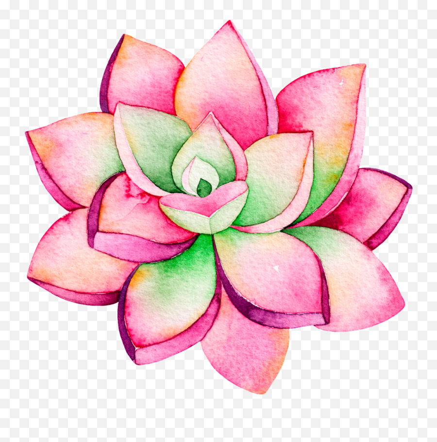 Download This Backgrounds Is Pink Fashion Lotus Cartoon Png Transparent Background