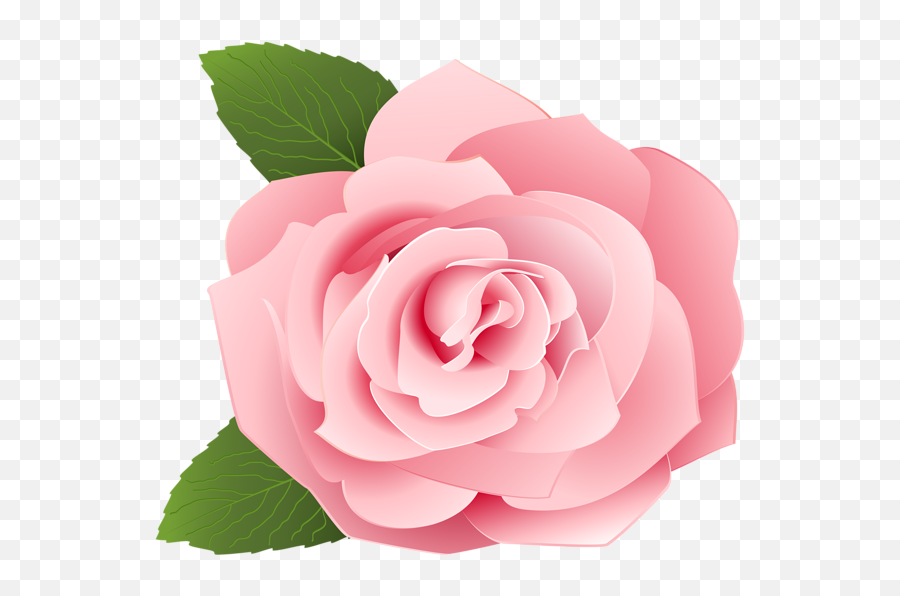 Rose Png Flower Images Free Download - Pink Flower Png,Pink Roses Png