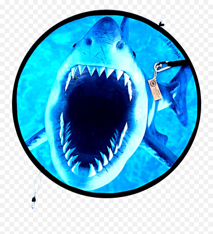 Jaws Png - Great White Shark,Jaws Png