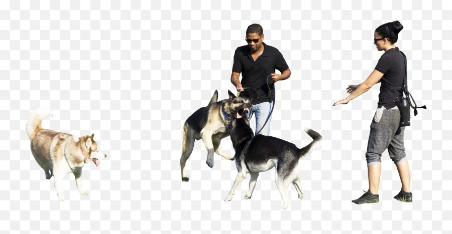 Walking Park Dog Dogs Hq Image Free Png - People With Dog Png,Park Png