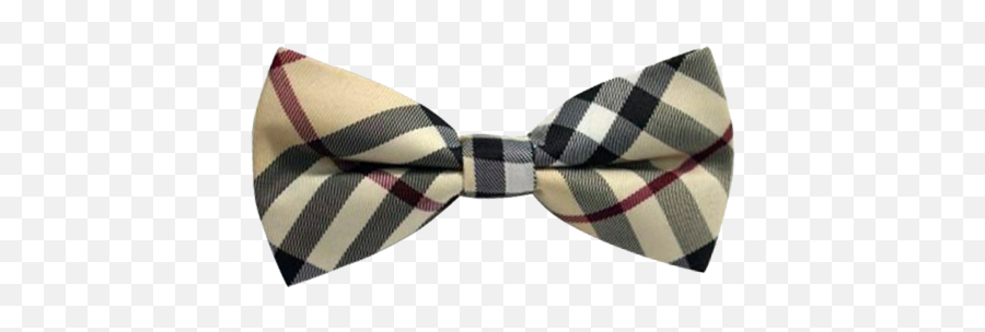 Black Bow Tie 1png U0026 Free Transparent - Tartan Bow Tie Transparent,Black Bow Tie Png