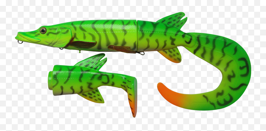 Transparent Eel Baby Green Clipart - Full Size Clipart Fishing Lure Png,Eel Png