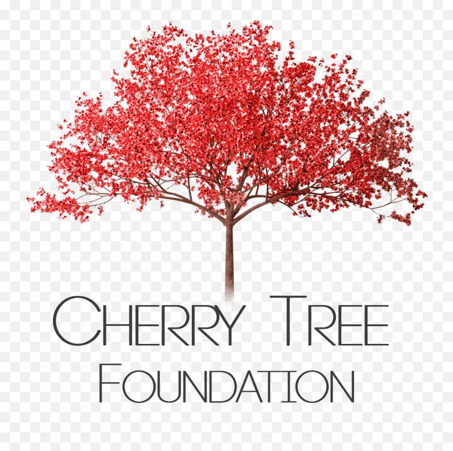 Download Hd Cherry Tree Png - Pink Flowering Tree Png Transparent Cherry Blossom Tree,Cherry Tree Png