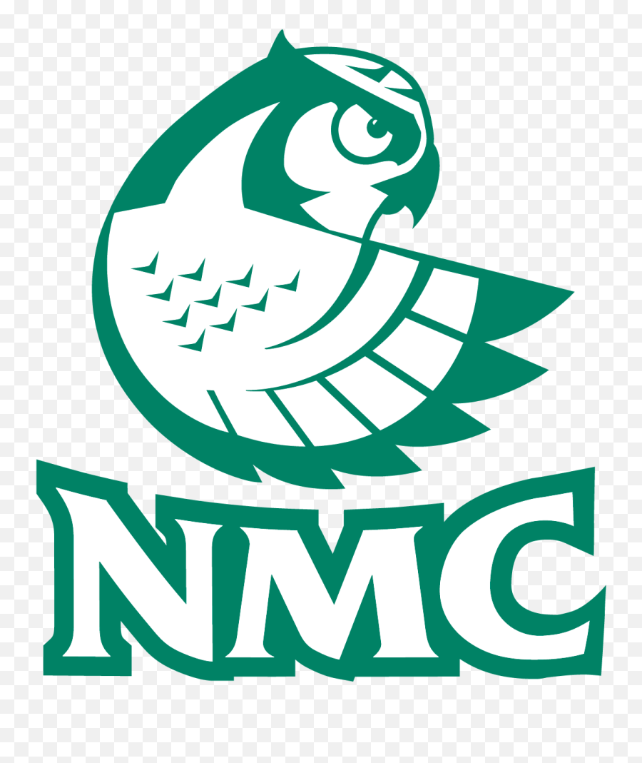 Public Relations Graphic Identity And Logos Northwestern - Northwestern Michigan College Logo Png,Art Institute Logos