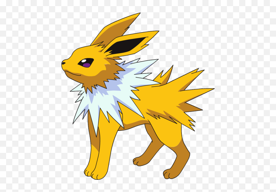 Jolteon Pok Mon Wiki Wikia Pokemon - Vaporeon Jolteon Eevee Evolutions Png,Jolteon Transparent