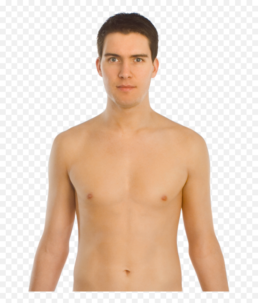 Upper Body Front - Location Of The Heart Png,Chest Png