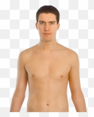 Upper Body Front - Location Of The Heart Png,Chest Png