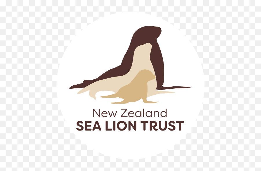 Homepage - New Zealand Sea Lion Trust Sea Lion Book Logo Png,Sea Lion