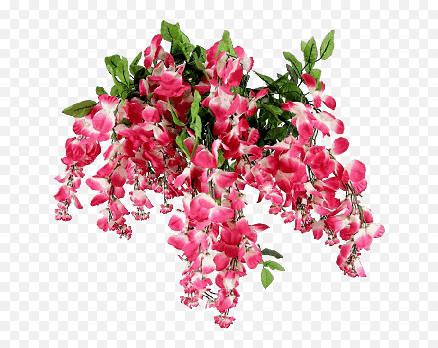Admired By Nature Artificial Wisteria Long Hanging - Hanging Creeper Flower Png Hd,Wisteria Png