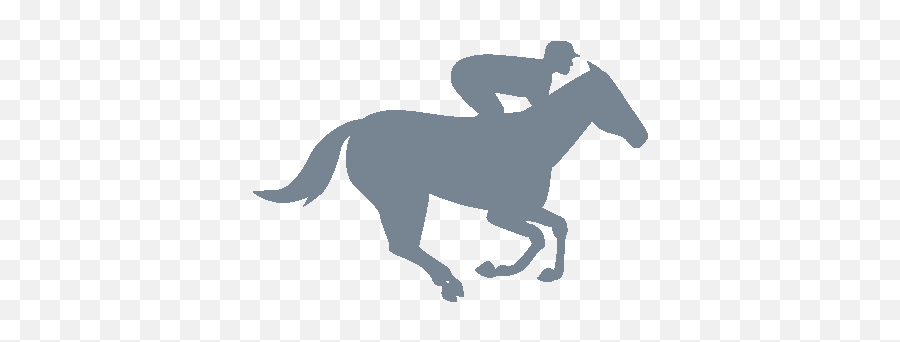 Horse Profile Search Racing And Sports - Horse Moon Lanterns Easy Png,Racehorse Icon