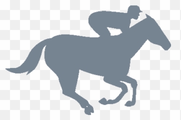 Horse Profile Search Racing And Sports - Moon Lanterns Easy png