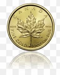 Maple Leaf - Canada 12 Oz Gold Coin Maple Leaf 1 2 Oz Png,Canada Maple Leaf Png