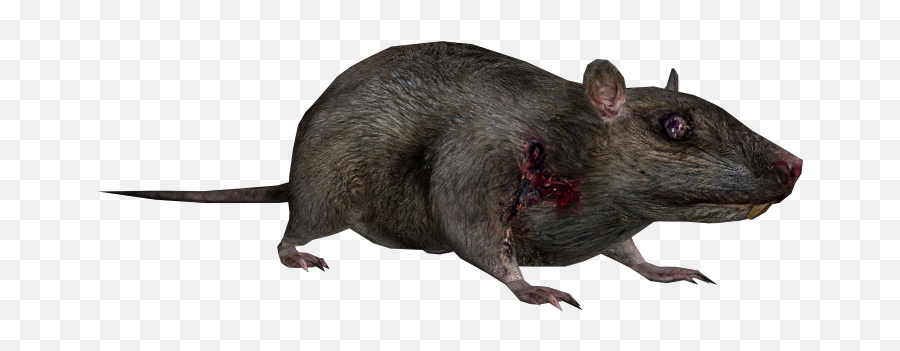 Pc Computer - Metro 2033 Rat Png,Metro 2033 Icon