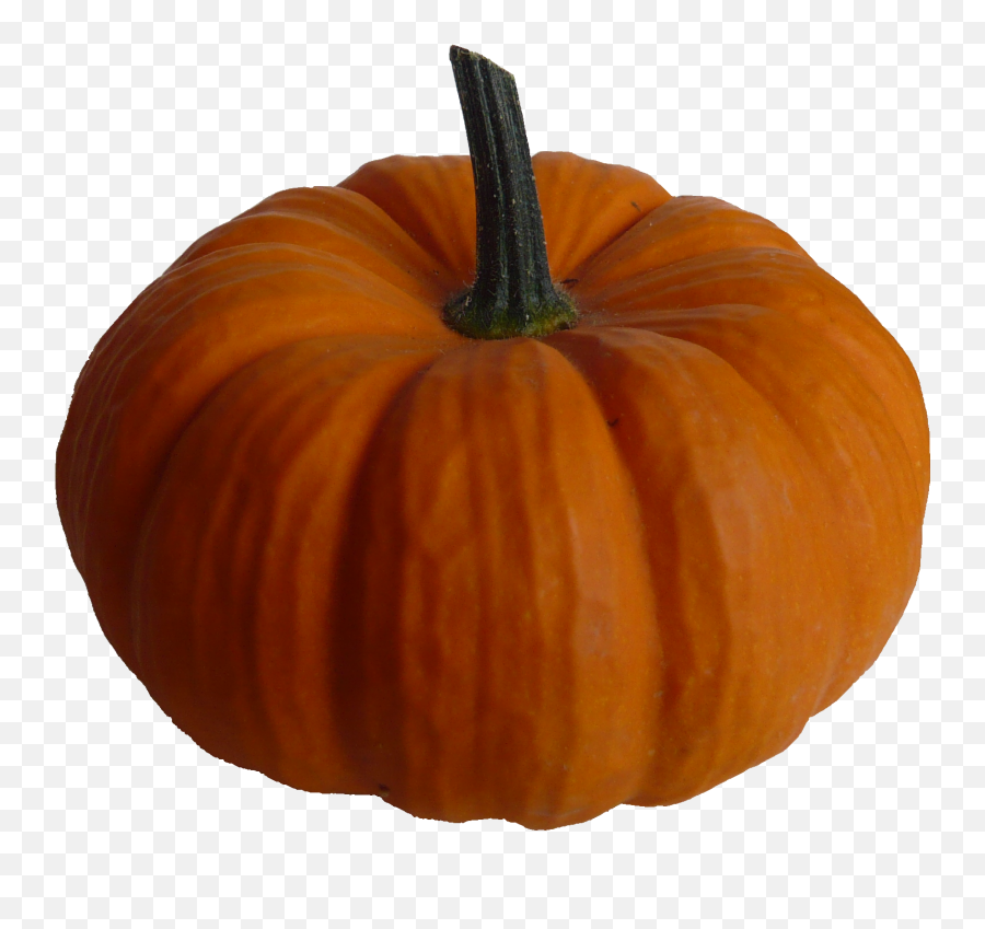 Real Pumpkin Png Image - Real Pumpkin Png,Pumkin Png