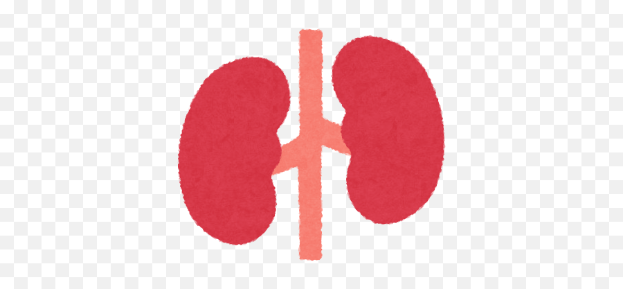 Kidney Icon Internal Organs Illustration Material - Lots Language Png,Organ Icon