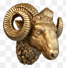 3d Stl Models To Order For Cnc Development Of - Animal Figure png