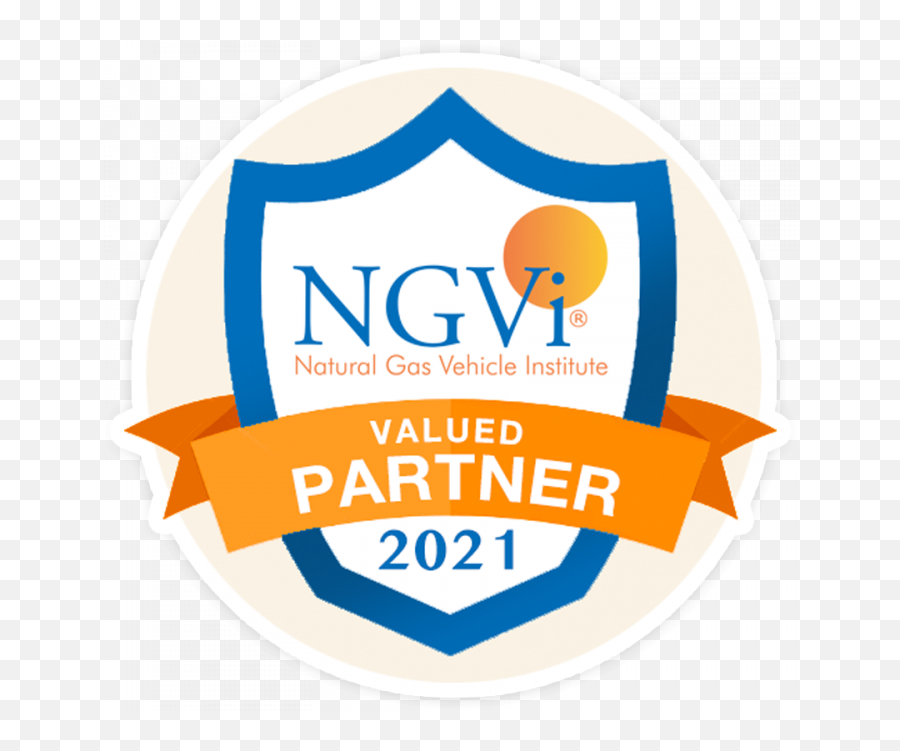 Ngvi Partner Program - Language Png,Google Partner Icon