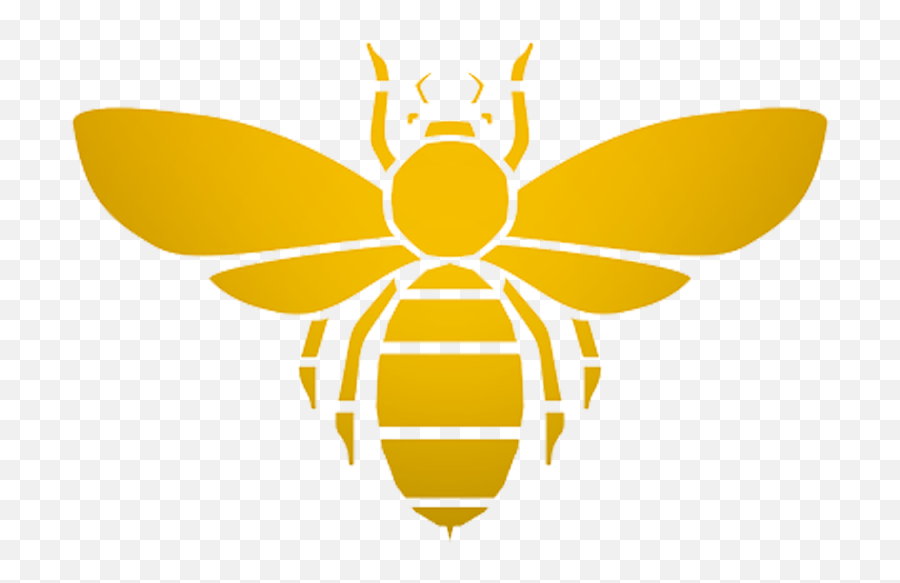 Bee Logo Png Picture 428356 - Honey Bee Logo Png,Bumblebee Logo
