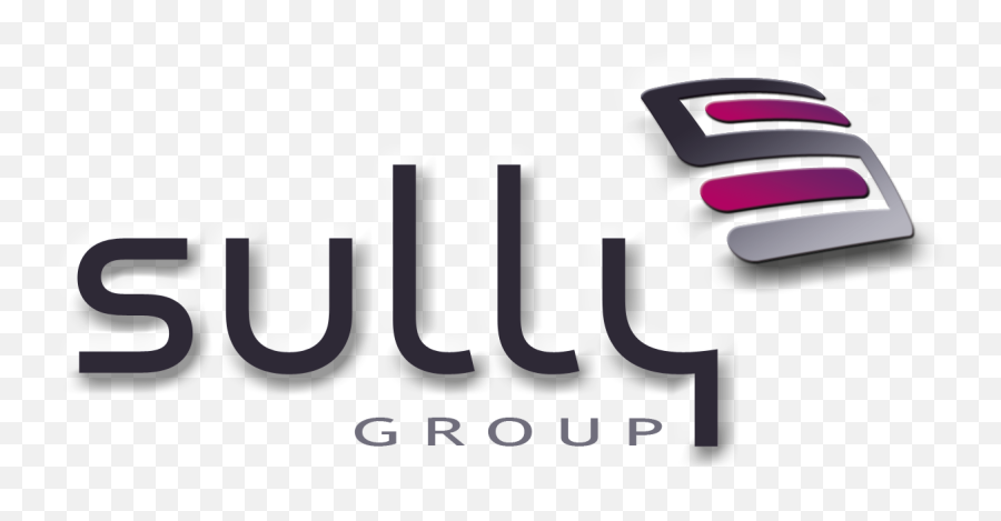 Sully Group - Sully Group Png,Sully Png
