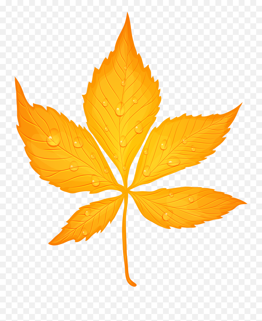 Yellow Fall Leaf Clipart Png Autumn Leaves