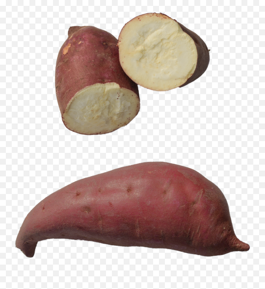 Download The Murasaki Sweet Potato Png Transparent