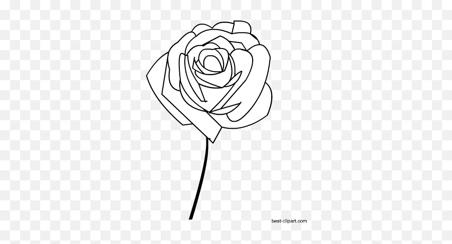 Download Black And White Rose Clip Art Free - Clip Art Png Floribunda,Black And White Rose Png