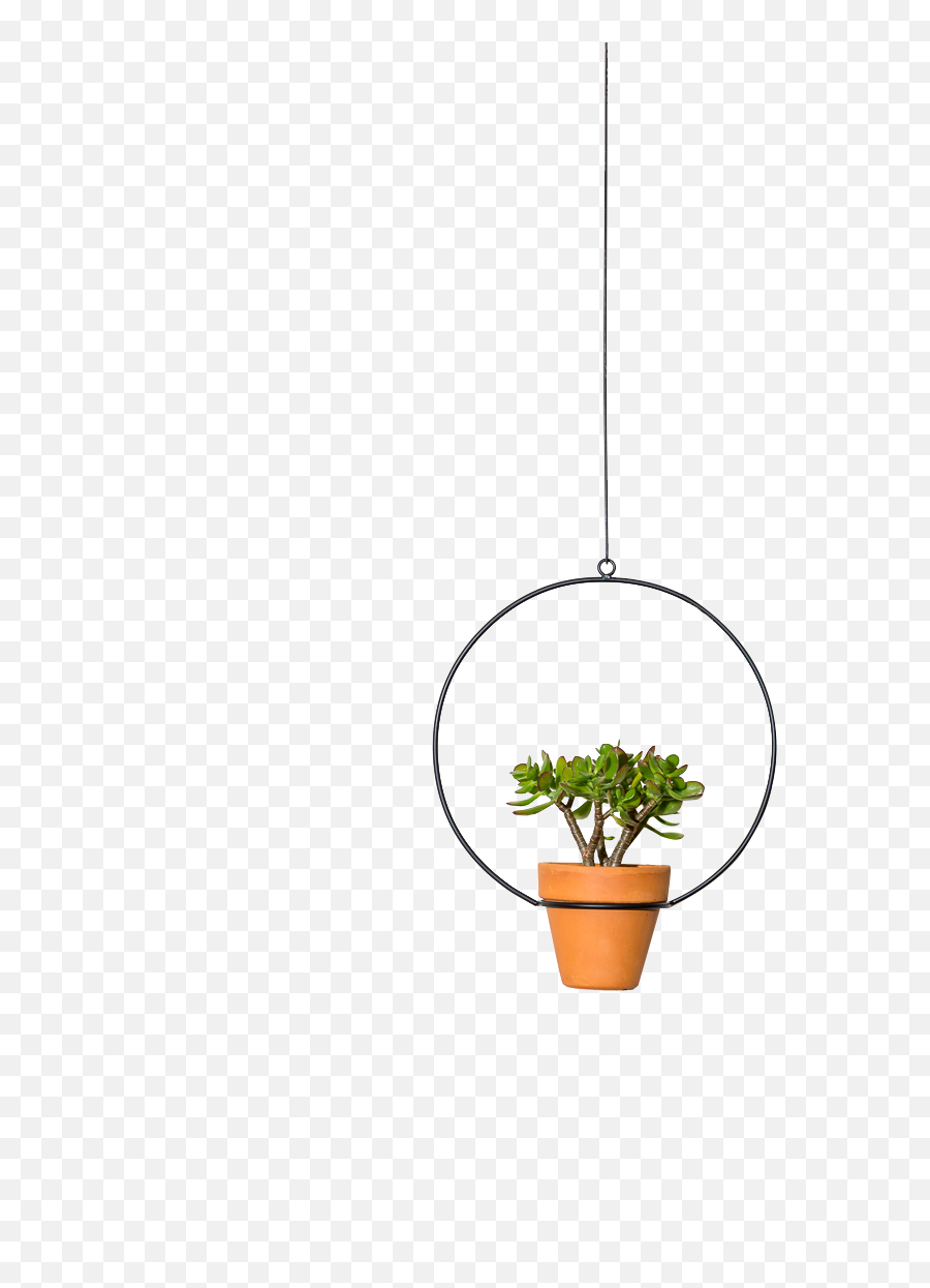 Hanging Circle Planter Newmade La - Houseplant Png,Hanging Png