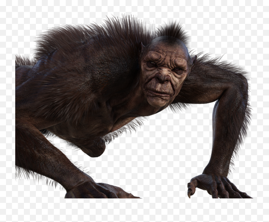 Man Werewolf Horror - Free Image On Pixabay Realistic Scary Werewolf Costume Png,Werewolf Transparent