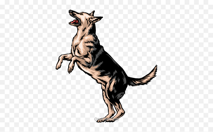 German Shepherd Png - German Shepherd Clip Art,German Shepherd Png