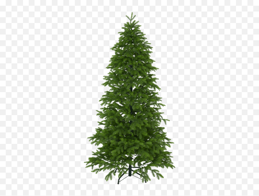 Christmas Tree Ryda - Christmas Tree Png,Christmas Tree Star Png