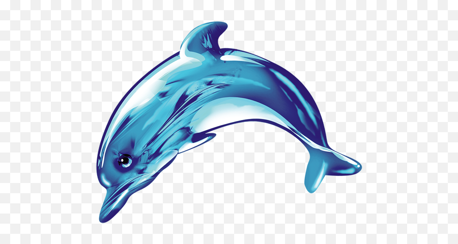 Common Bottlenose Dolphin Icon - Cute Dolphin Png,Dolphin Transparent