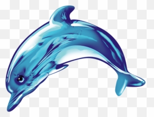 Common Bottlenose Dolphin Icon - Cute Png