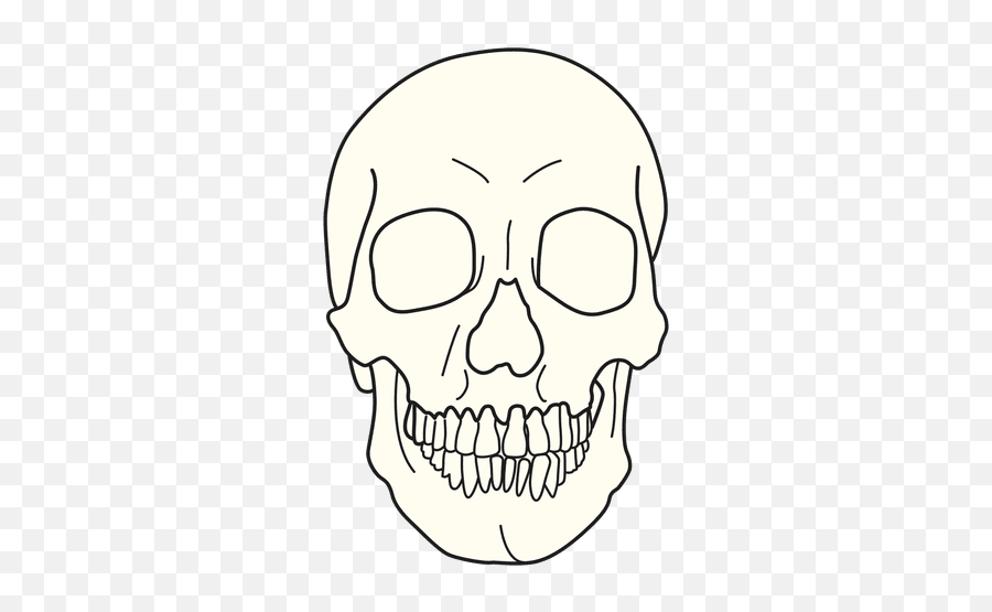 Skull Medical Illustration - Transparent Png U0026 Svg Vector File Ilustración Ojos De Craneo,Skull Face Png