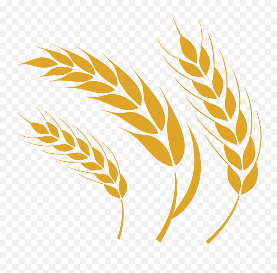 wheat head clip art