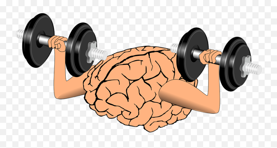 The Mind Muscle Connection For Glutes U2013 Start Here A - Brain Exercise Icon Png,Muscle Png