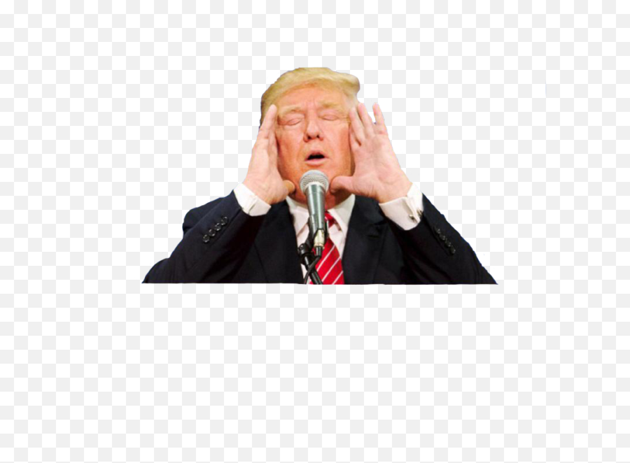 Cutouts Png Trump Face Transparent - Donald Trump Cut Out,Donald Trump Face Transparent