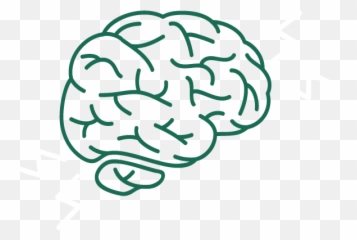 What Is Ms - Multiple Sclerosis Center UAB Ms Clipart png
