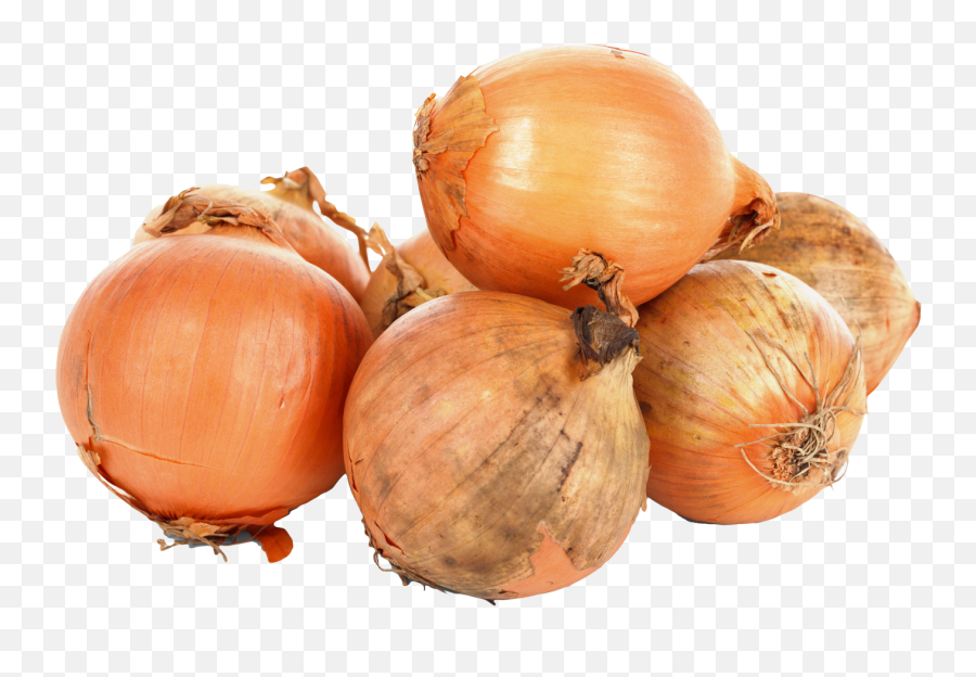This High Quality Free Png Image Without 4992 - Png Images Onions Png,Vegetables Transparent Background