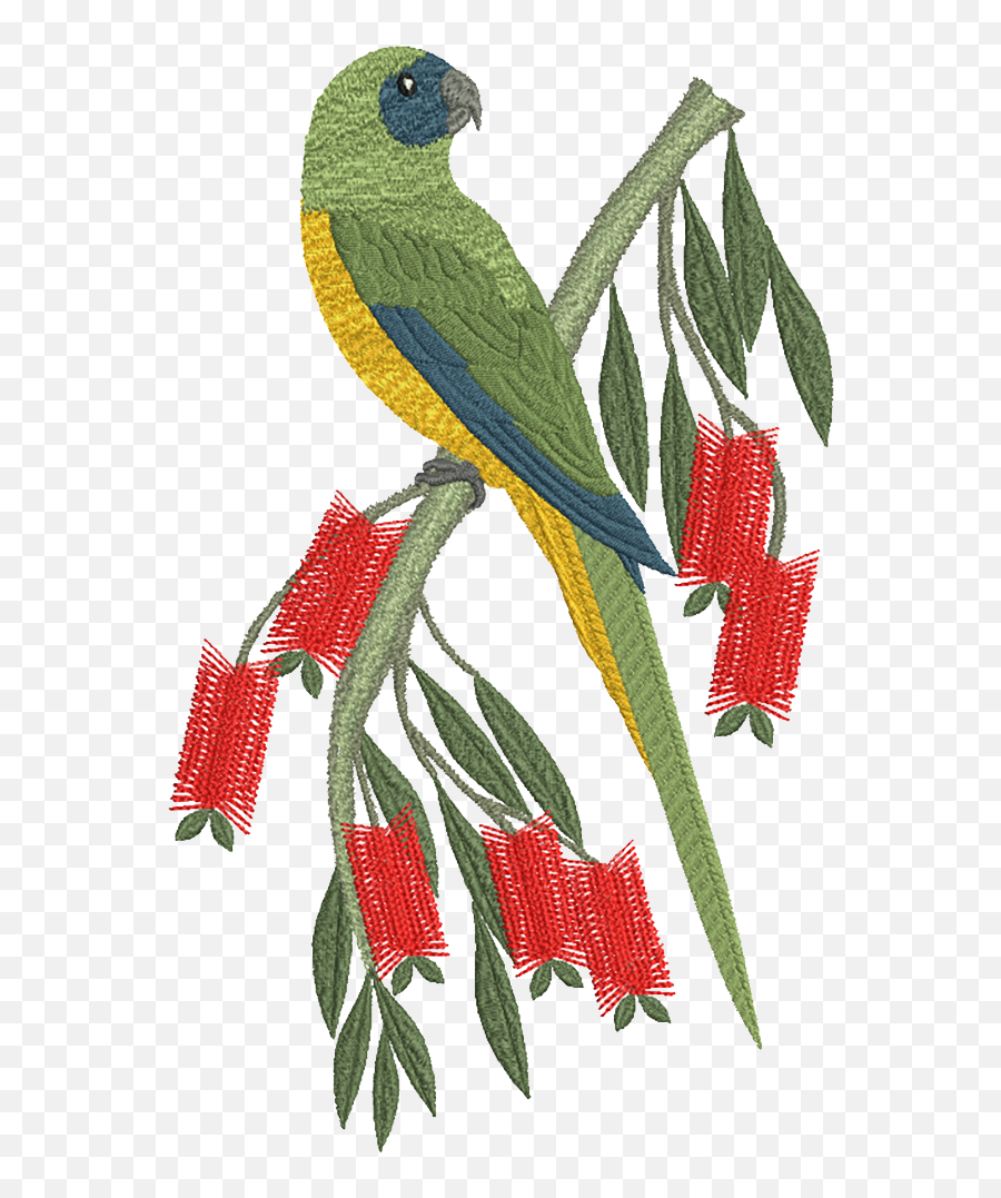 Download Machine Embroidery Designs - Parrot Motif For Embroidery Png,Embroidery Png