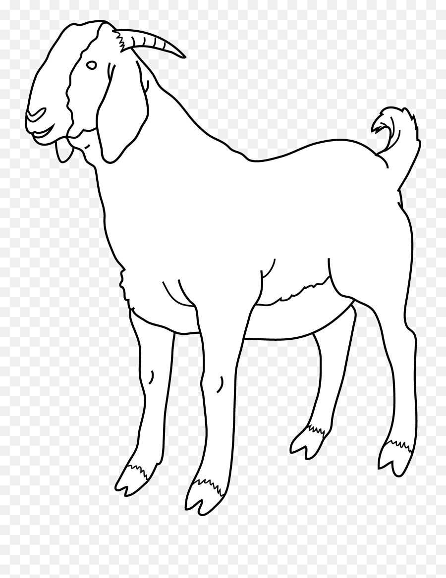 Goat 14 Animals U2013 Printable Coloring Pages - Cute Goat Clipart Black And White Png,Goats Png